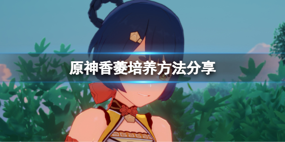 原神香菱怎么玩 香菱培养方法分享