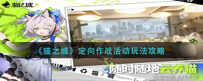 猫之城定向活动怎么玩 定向作战活动玩法攻略