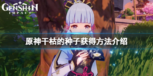 原神干枯的种子怎么获得 干枯的种子获得方法介绍