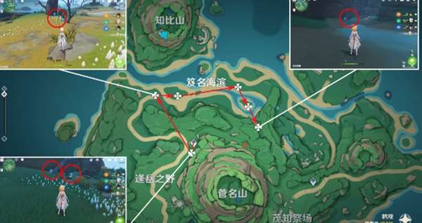 《原神》幽灯蕈在哪采集