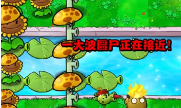 《植物大战僵尸杂交版》冒险第十一关如何过关