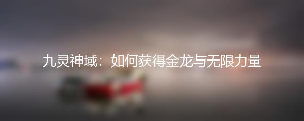 九灵神域 如何获得金龙与无限力量