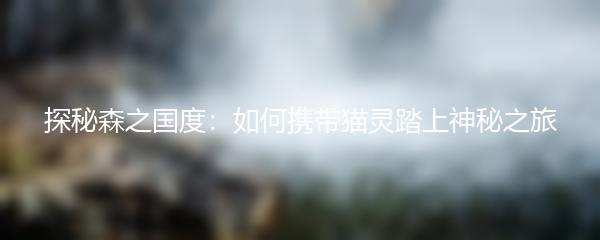 探秘森之国度 如何携带猫灵踏上神秘之旅