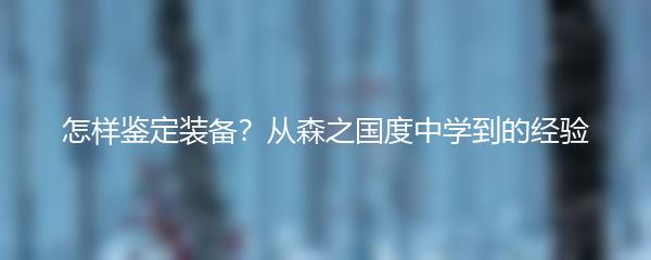 怎样鉴定装备 从森之国度中学到的经验
