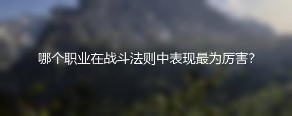 哪个职业在战斗法则中表现最为厉害