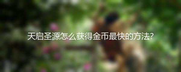 天启圣源怎么获得金币最快的方法