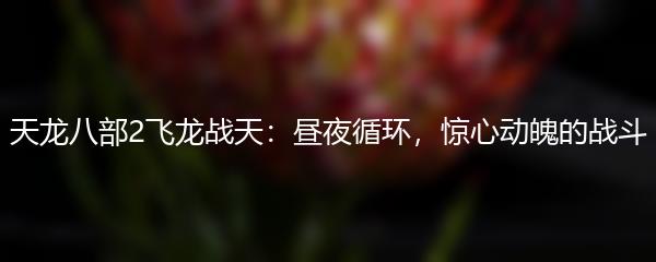 天龙八部2飞龙战天昼夜循环 惊心动魄的战斗