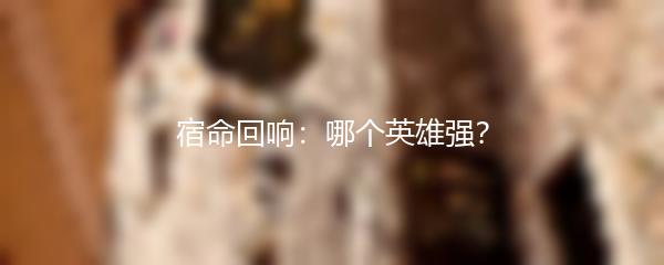 宿命回响哪个英雄强