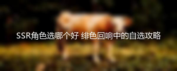 SSR角色选哪个好 绯色回响中的自选攻略