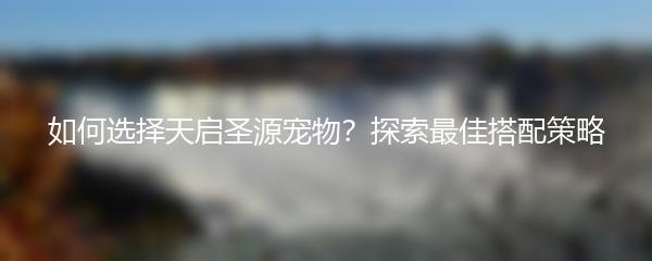 如何选择天启圣源宠物 探索最佳搭配策略