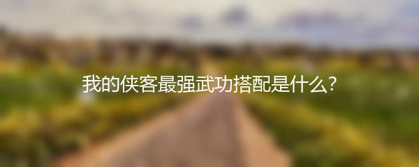 我的侠客最强武功搭配是什么