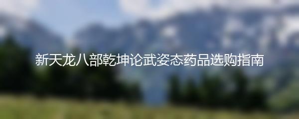 新天龙八部乾坤论武姿态药品选购指南