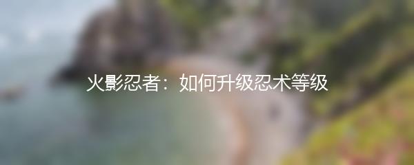 火影忍者：如何升级忍术等级