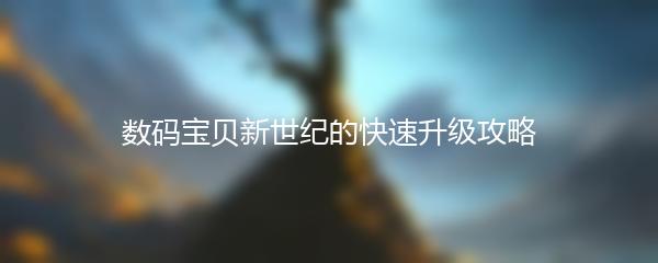 数码宝贝新世纪的快速升级攻略