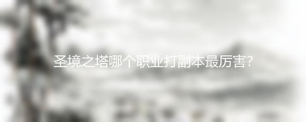 圣境之塔哪个职业打副本最厉害？