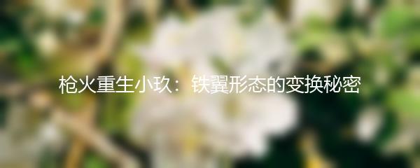 枪火重生小玖：铁翼形态的变换秘密