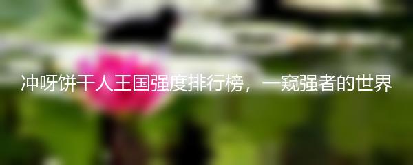 冲呀饼干人王国强度排行榜，一窥强者的世界
