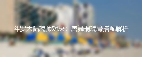 斗罗大陆魂师对决：唐舞桐魂骨搭配解析