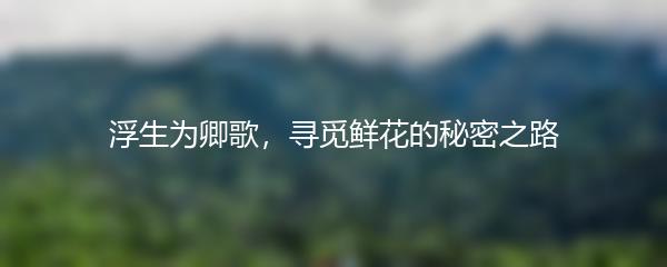 浮生为卿歌，寻觅鲜花的秘密之路