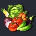 蔬菜拼图手机版下载
