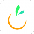 橙宝网app手机版下载安装

