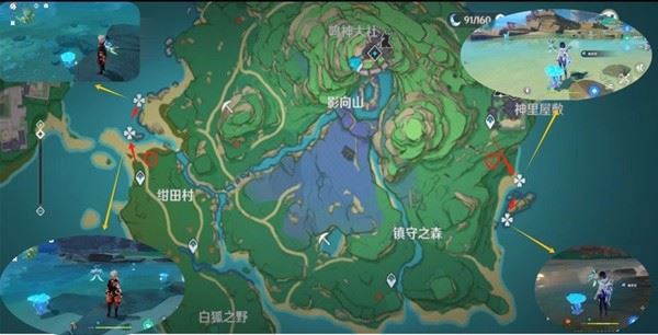 原神4.4海灵芝采集路线