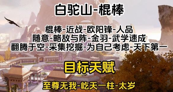 射雕金色天赋选择攻略