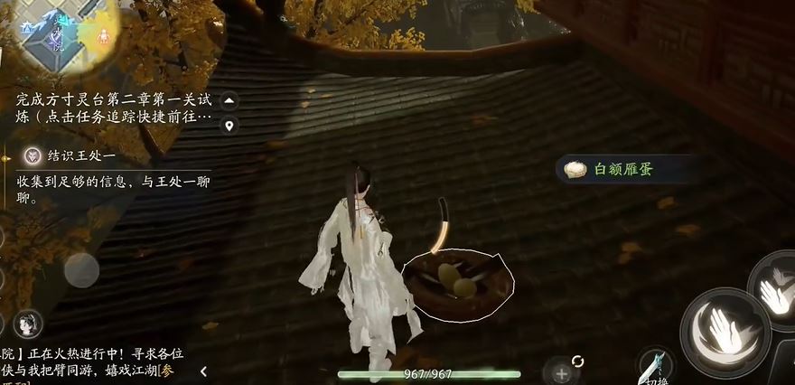 射雕白额雁蛋位置攻略