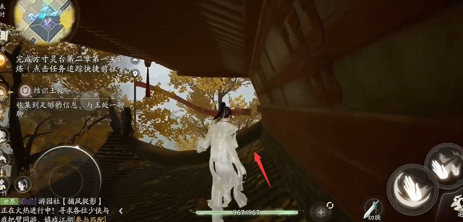 射雕白额雁蛋位置攻略