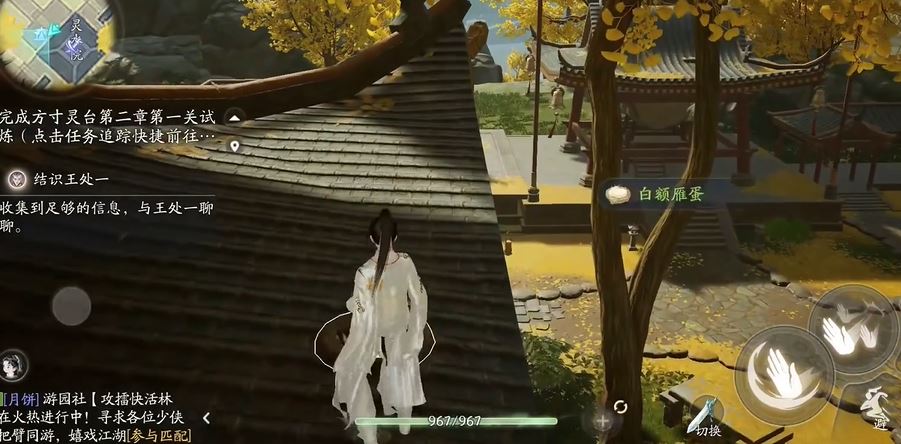 射雕白额雁蛋位置攻略
