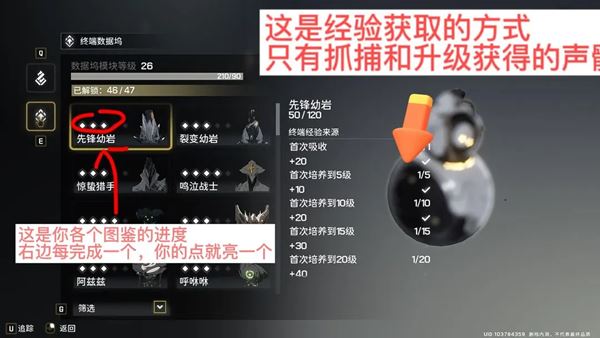 鸣潮鸣域快速升级攻略