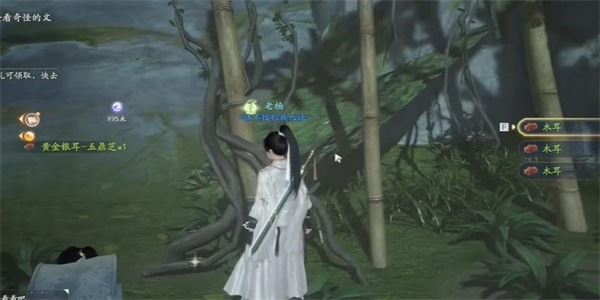 射雕五鼎芝收集攻略