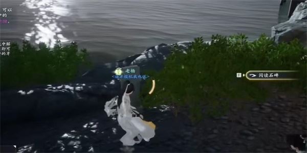 射雕鲤鱼有灵成就攻略