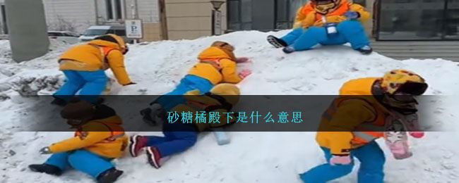 砂糖橘殿下是什么意思