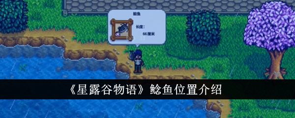星露谷物语鲶鱼位置介绍