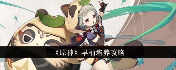 原神早柚培养攻略