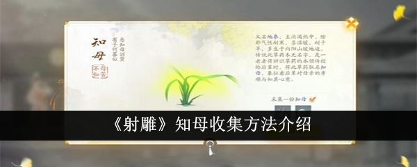 射雕知母收集方法介绍