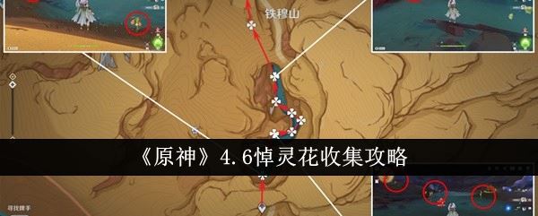 原神4.6悼灵花收集攻略