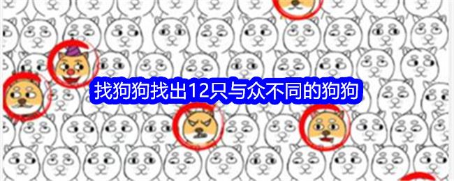 就我眼神好找狗狗找出12只与众不同的狗狗通关攻略