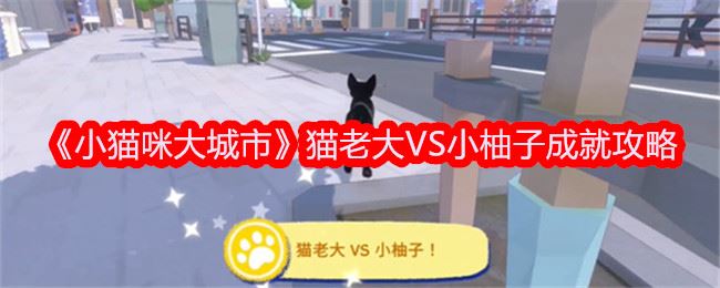 小猫咪大城市猫老大VS小柚子成就攻略