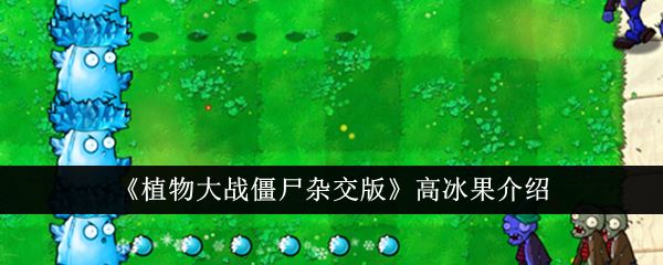 植物大战僵尸杂交版高冰果介绍