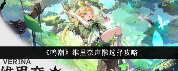 鸣潮维里奈声骸选择攻略