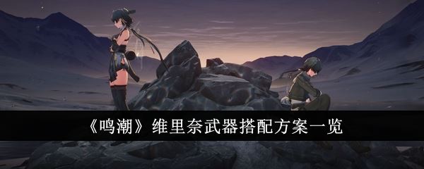 鸣潮维里奈武器搭配方案一览