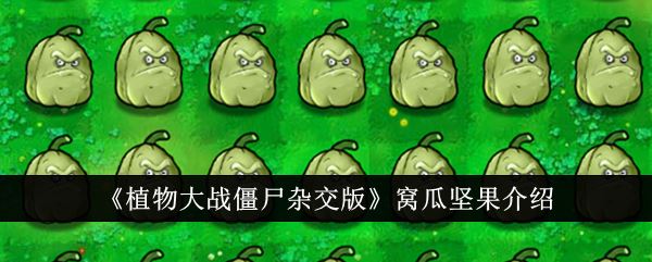 植物大战僵尸杂交版窝瓜坚果介绍