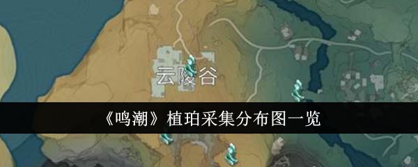 鸣潮植珀采集分布图一览